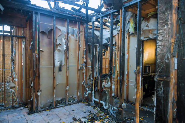 Professional Fire Damage Cleanup technician working in Cleveland, FL